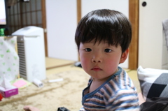 ん？シャッターの音がしたぞ？