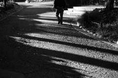shadows in the shade
