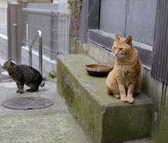 どこを観ているんですか？