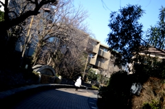 scene