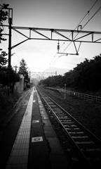 朝靄の中で