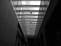 L1010600