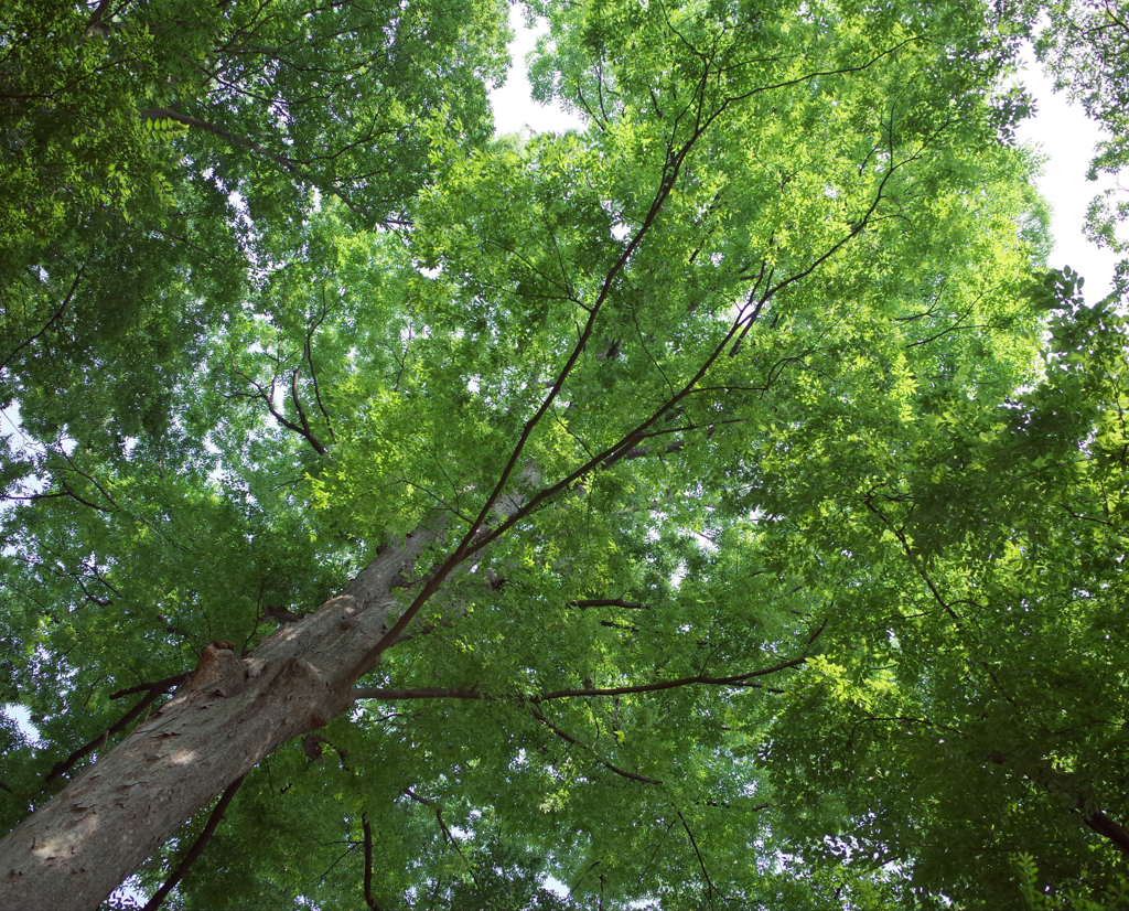 R0000054