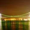 The Bridge
