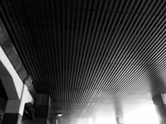 L1010631