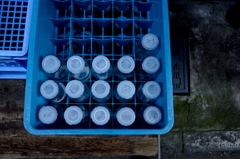 regularity