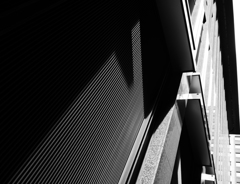 L1010616