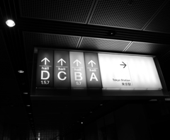L1010611
