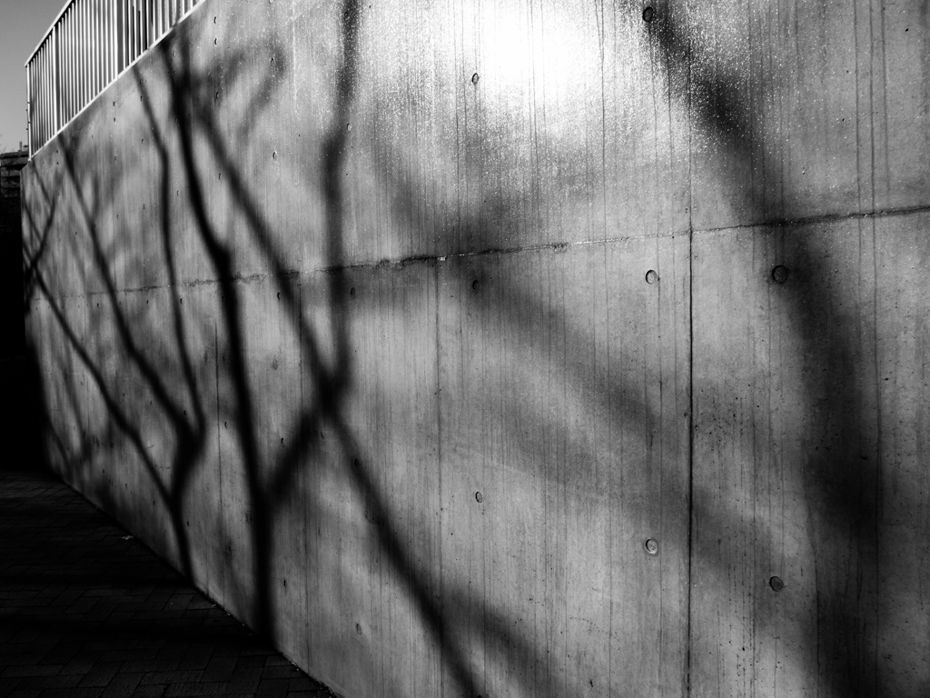 shadows...