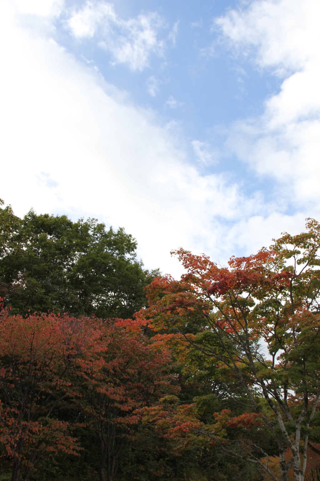 樽前神社