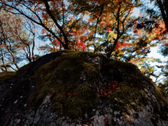 P1000536_DxO