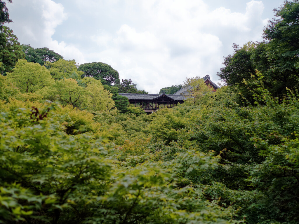 東福寺