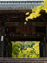 修禅寺