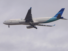 P9960641