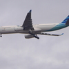 P9960641