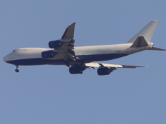 P9960495