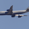 P9960495