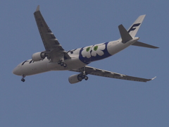 P9960505