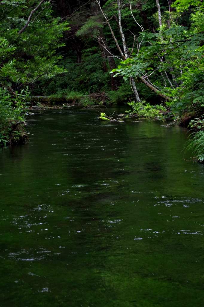 緑(りょく)の山水