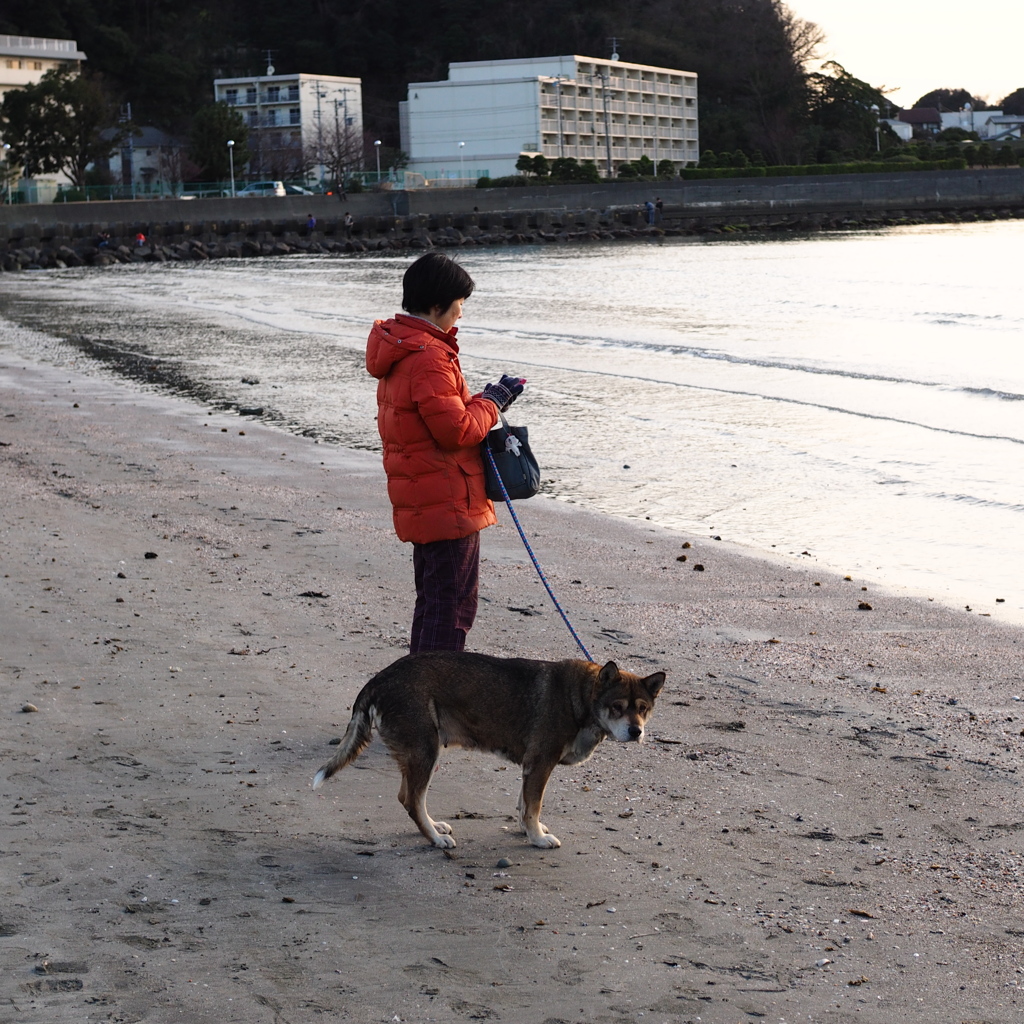逗子海岸