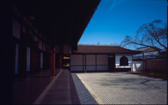 破頭庭