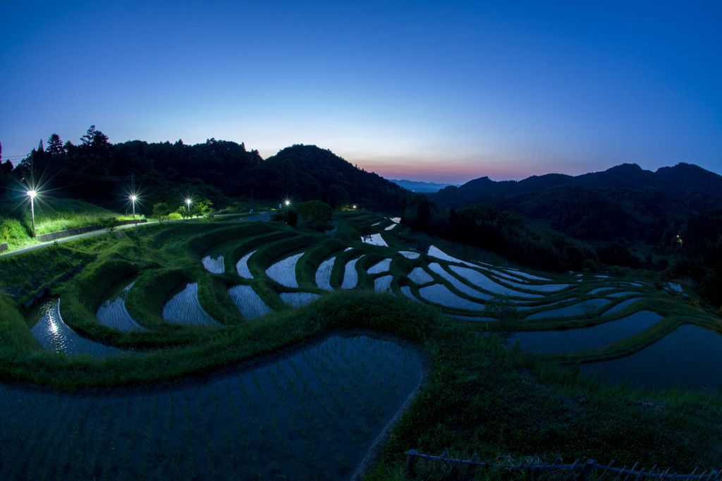大山千枚田①