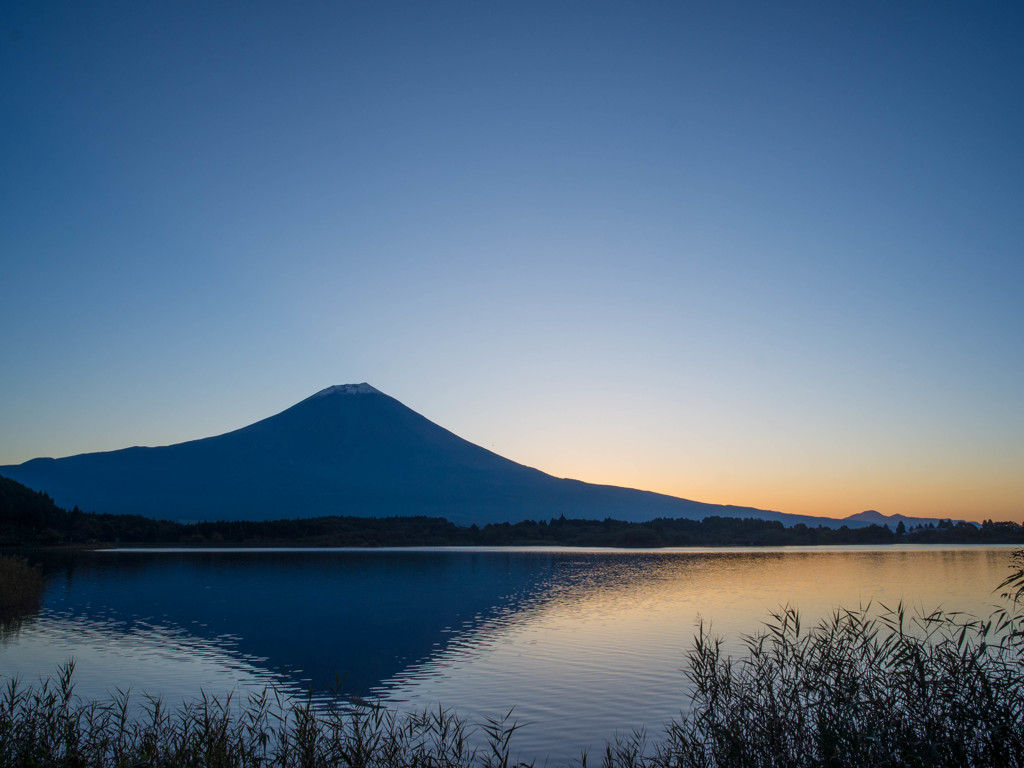 田貫湖②