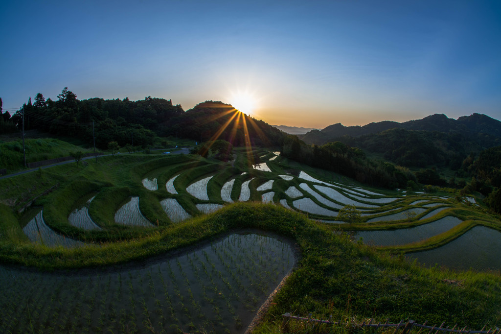 大山千枚田③