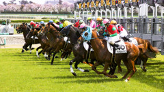 久しぶりの競馬観戦