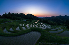 大山千枚田②