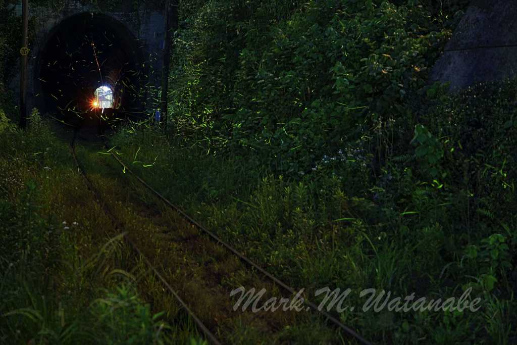 トンネルと線路とホタル