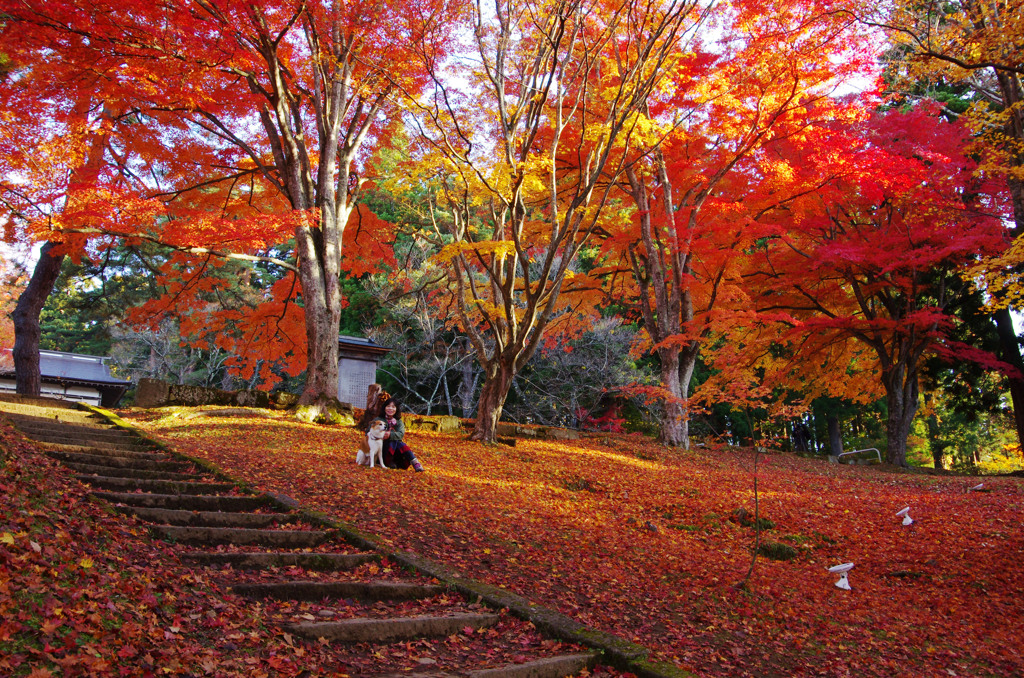 紅葉に包まれて