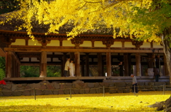 黄色の神殿