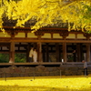 黄色の神殿