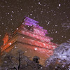 雪降る鶴ヶ城