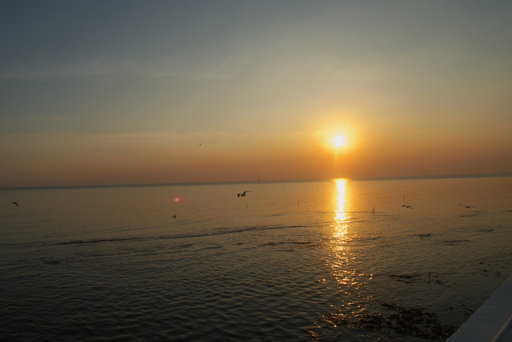 夕焼けとカモメ