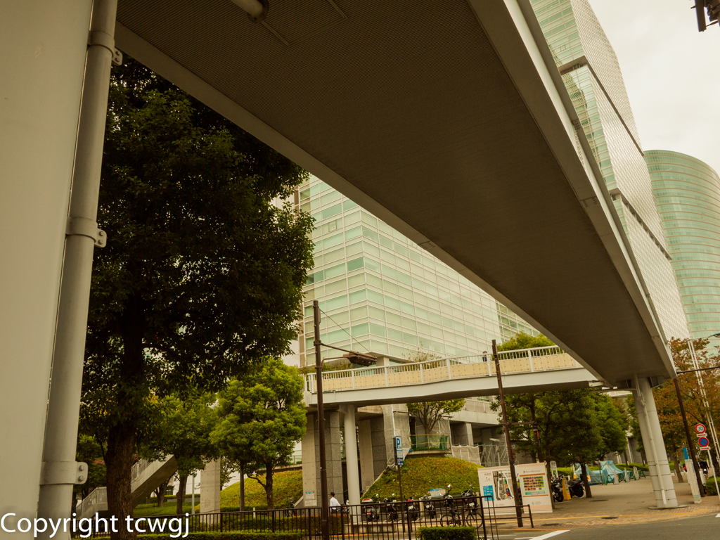 20151029-123601-P1010508-1