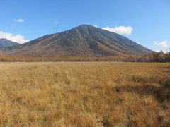 戦場ヶ原と男体山