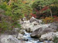 昇仙峡の紅葉2