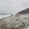 冬の千枚田