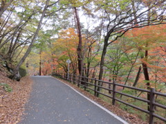 昇仙峡の紅葉1