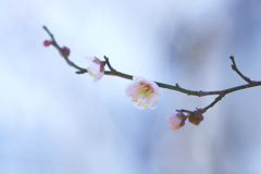 春愁