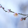 春愁