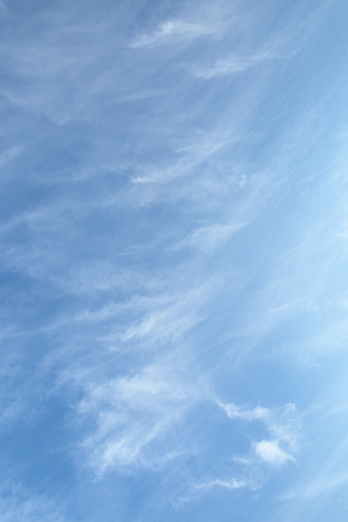 冬空