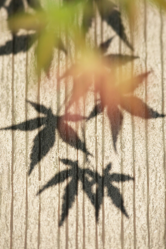 夏影