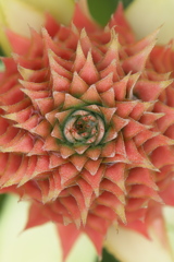 太陽Ⅰ