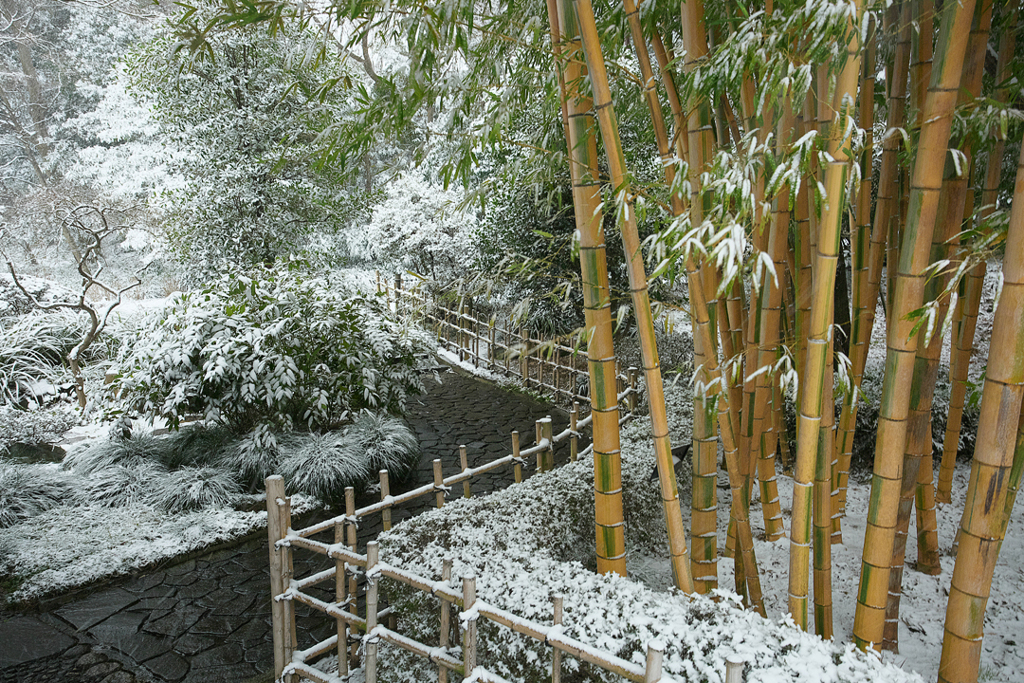 雪のKGCⅠ