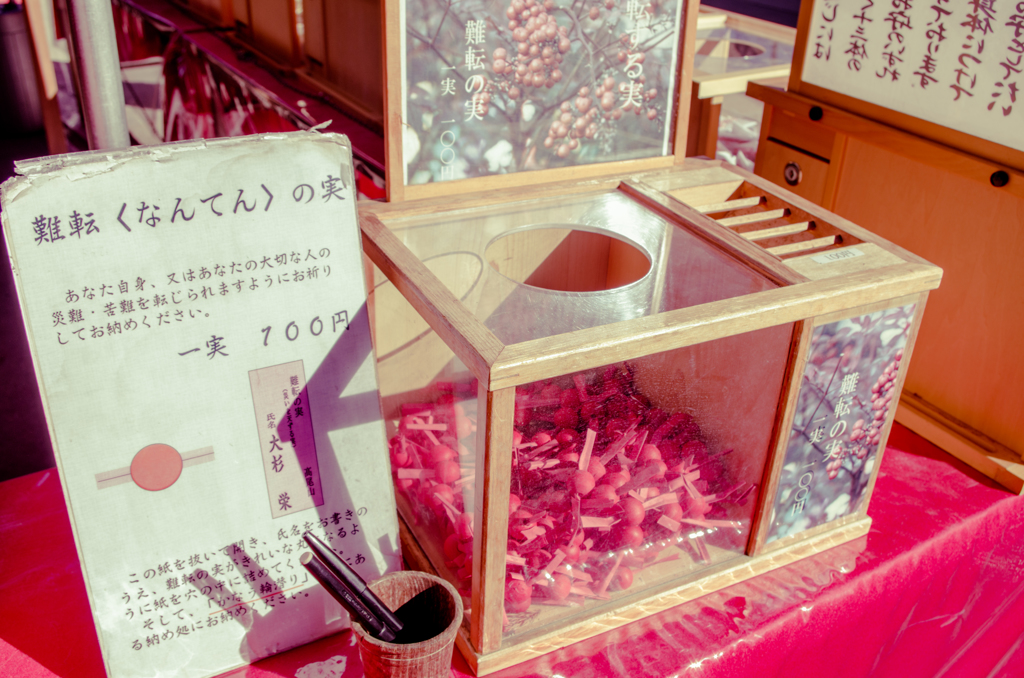 薬王院