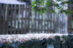 貴船神社