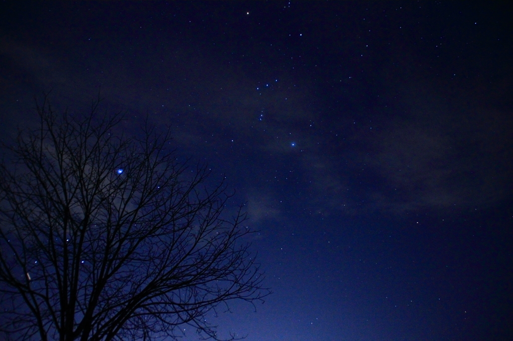 冬の夜空